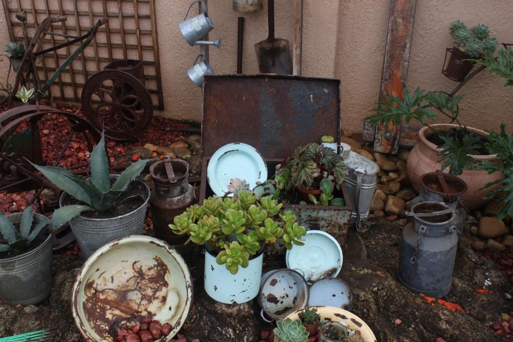 Aber Jetz Guesthouse Pongola Dış mekan fotoğraf