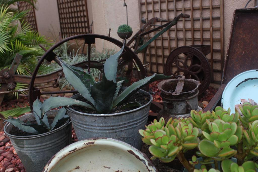 Aber Jetz Guesthouse Pongola Dış mekan fotoğraf